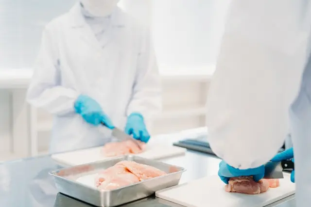 紹介可能なお仕事のイメージ